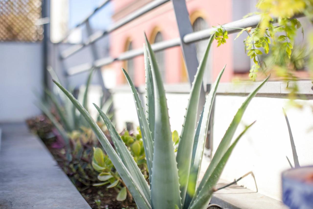 Alohamundi San Marcos Apartment Seville Ngoại thất bức ảnh